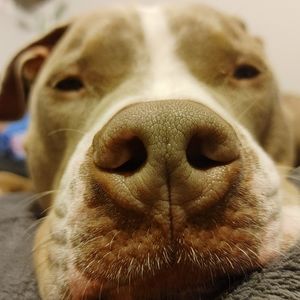 Meet your Posher, Camille